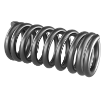 LSA101008 Spring